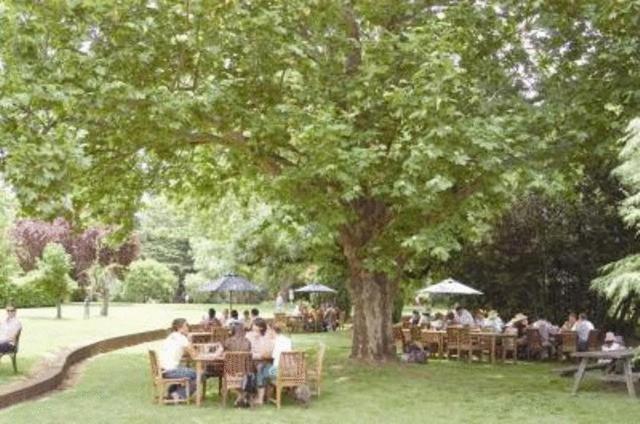 Petersons Armidale Winery And Guesthouse Exterior foto