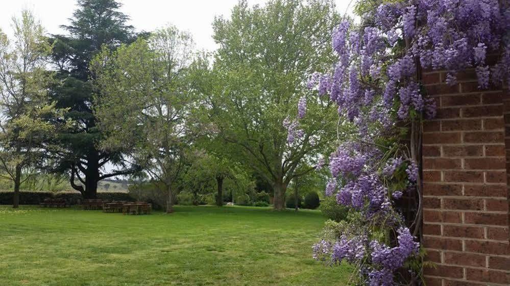 Petersons Armidale Winery And Guesthouse Exterior foto